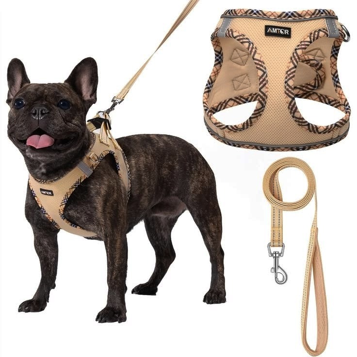 There are different types of Dog harness.